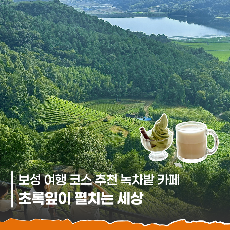 녹차밭 전망