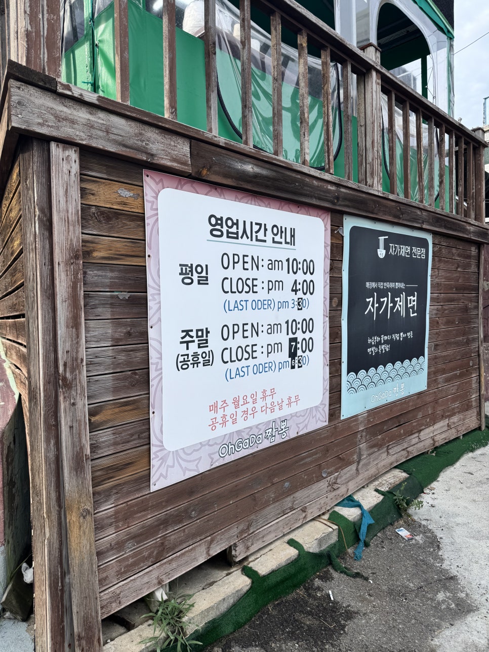 갓 튀겨낸 군만두