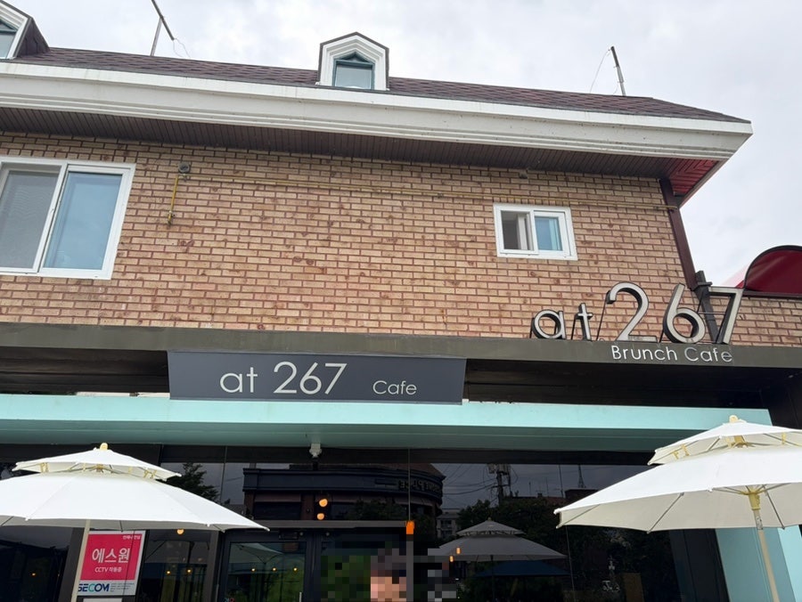 부여 궁남지 카페 3곳, 연꽃과 함께 힐링하는 시간
