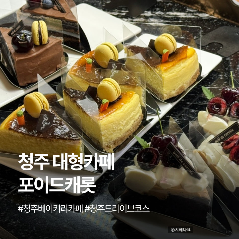 포이드캐롯 케이크와 디저트