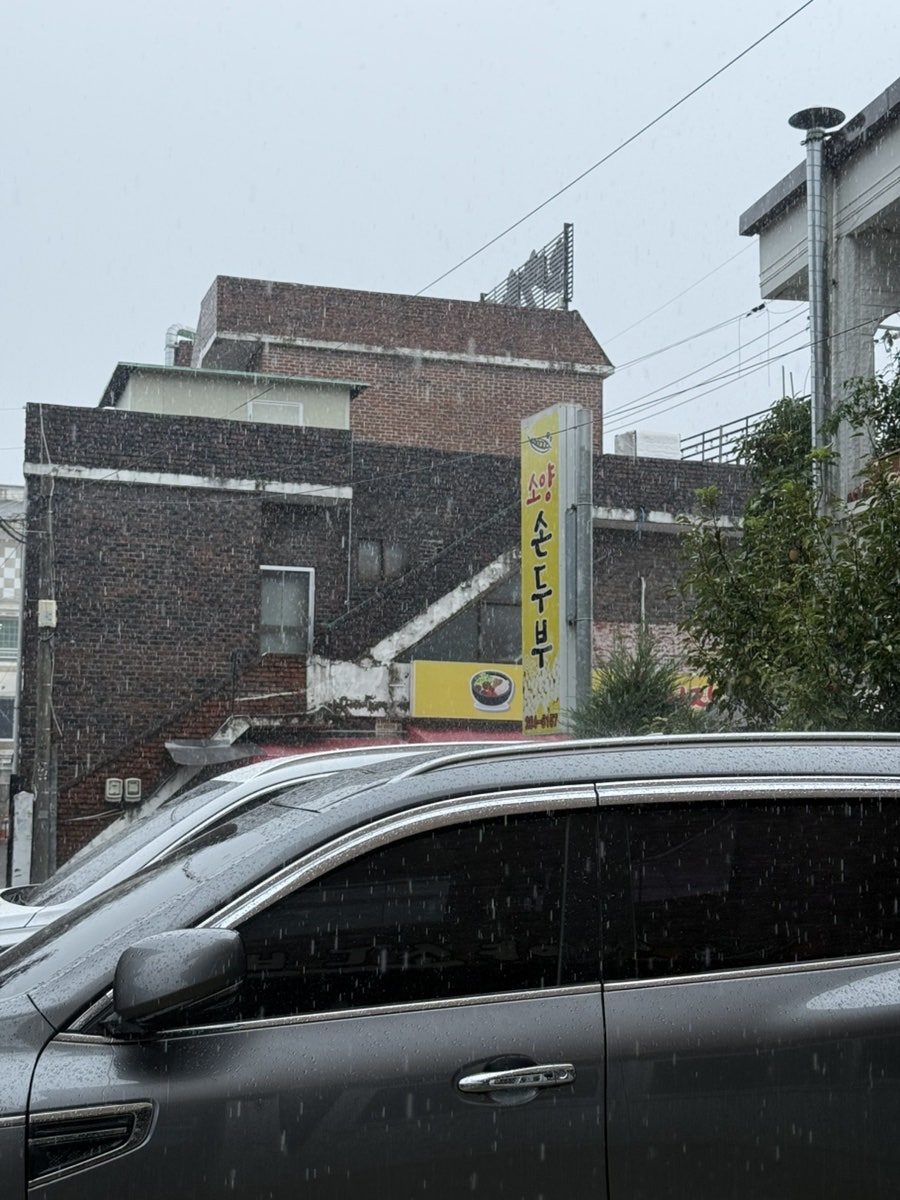 소양손두부 두부요리