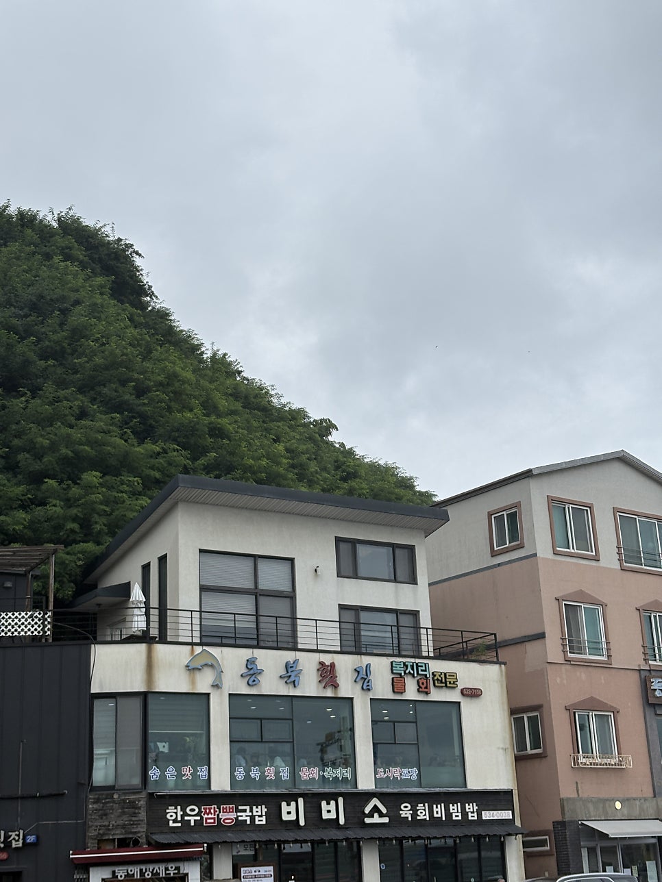 비비소의 한우육회비빔밥
