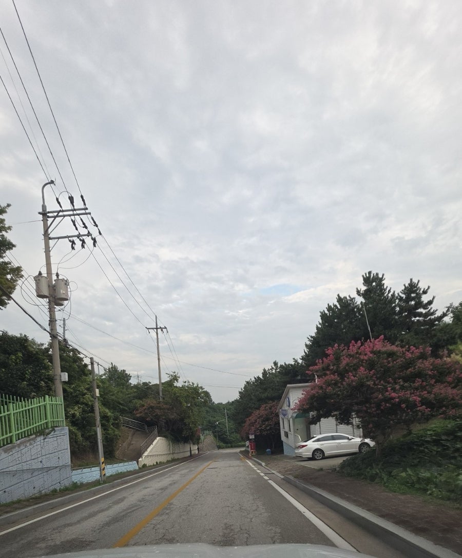 근처 풍경과 도로