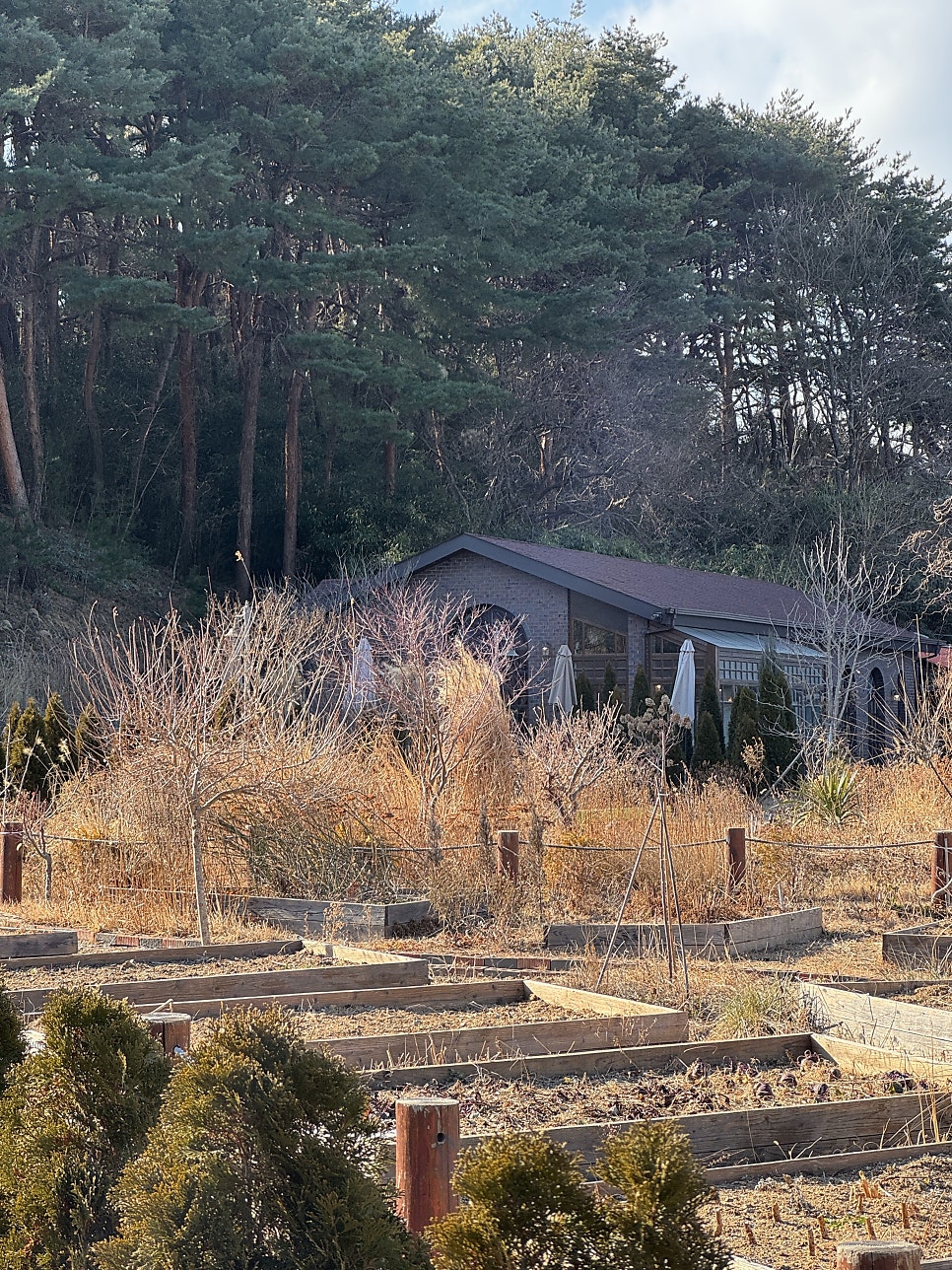 숲속 산장에 들어온 듯한 분위기의 카페 입구.