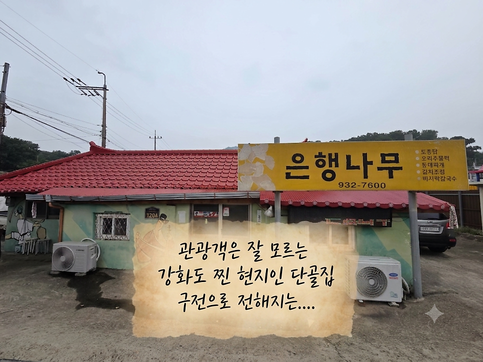 은행나무식당 젓국찌개