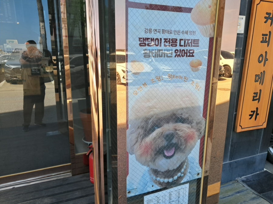 반려동물 전용 디저트 안내, 황태머핀