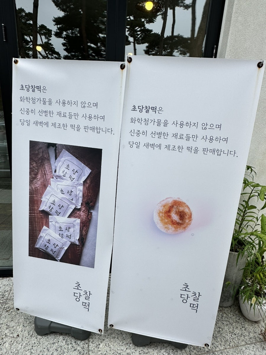 초당찰떡 구운 찰떡
