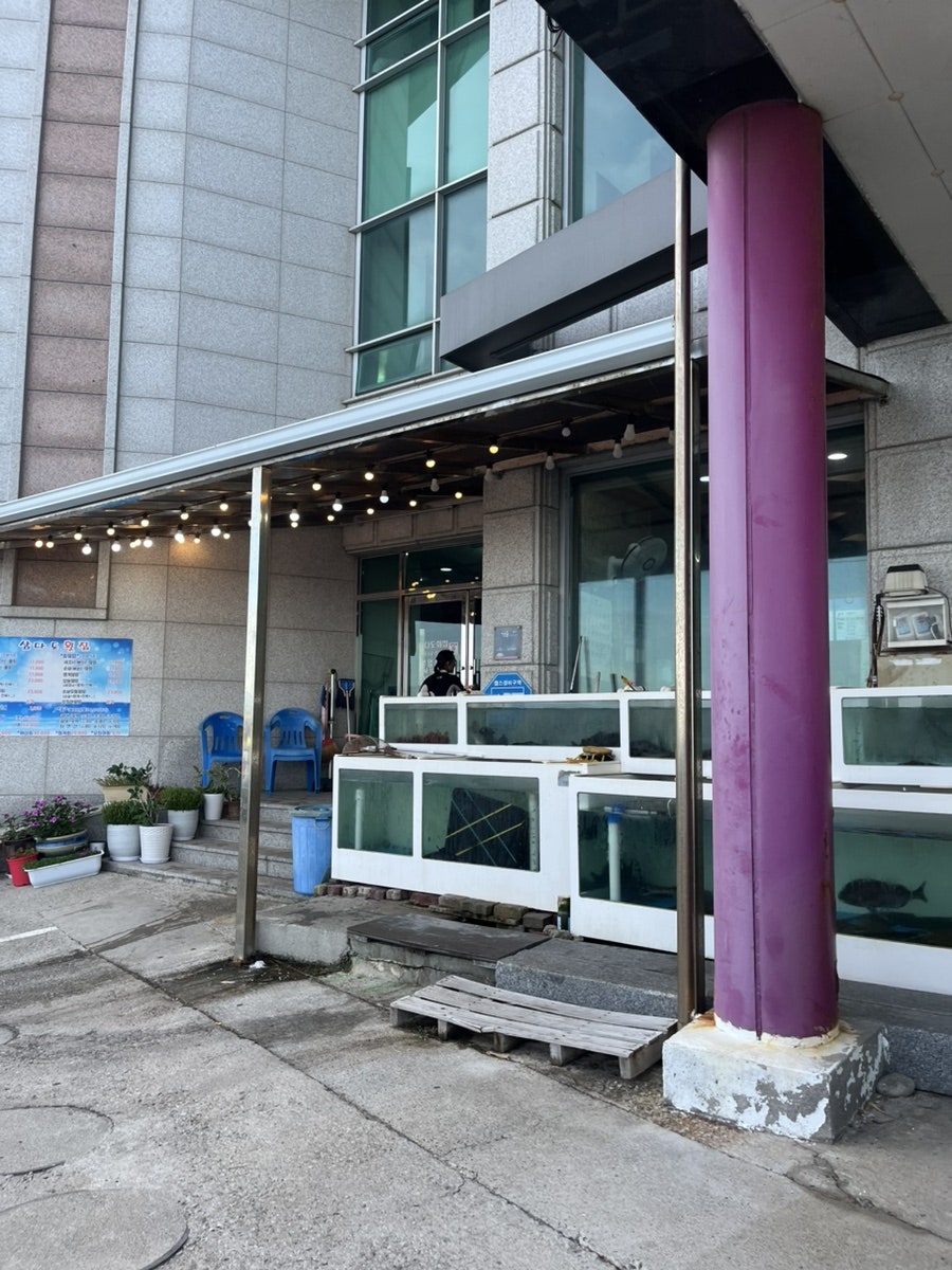 저녁 조명이 켜진 매장 앞 수조. 신선도를 눈으로 바로 확인할 수 있습니다.