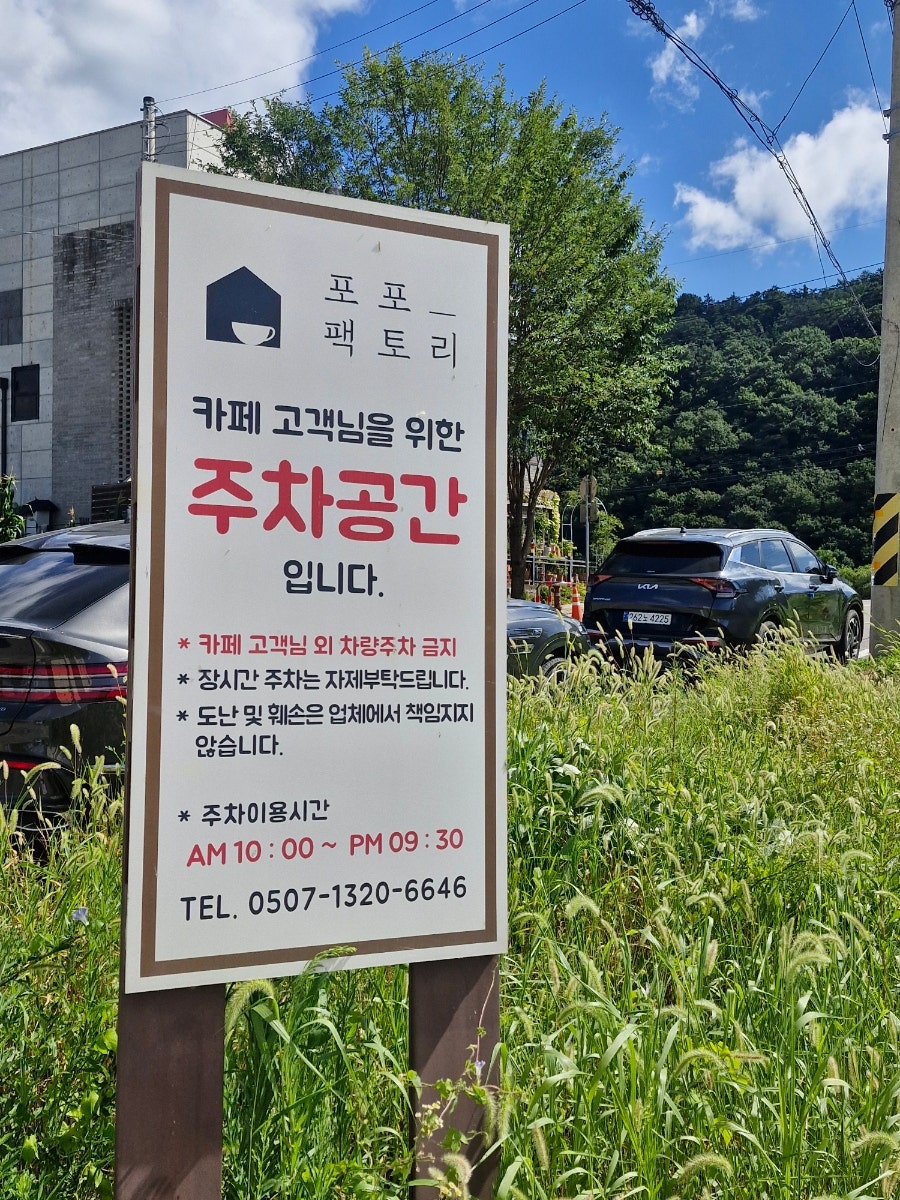 포포팩토리의 식물로 가득 찬 감성 공간