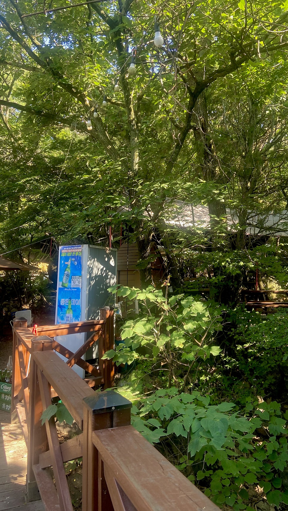돌담집 주변의 자연환경