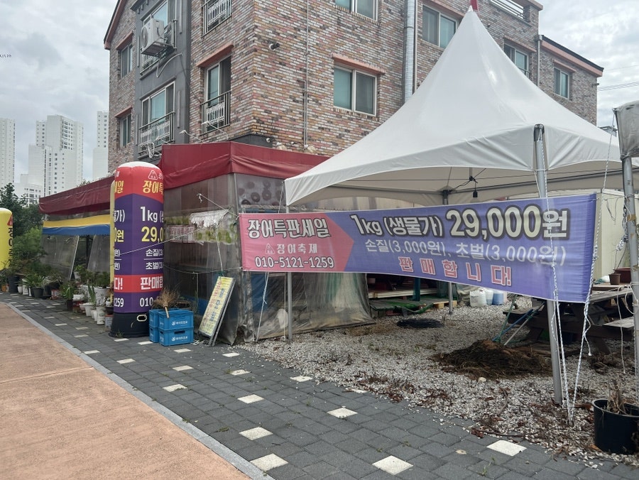 김제 검산택지, 장어삼겹백반 1인 16,000원 무한 셀프바 갖춘 '해뜰날장어축제'