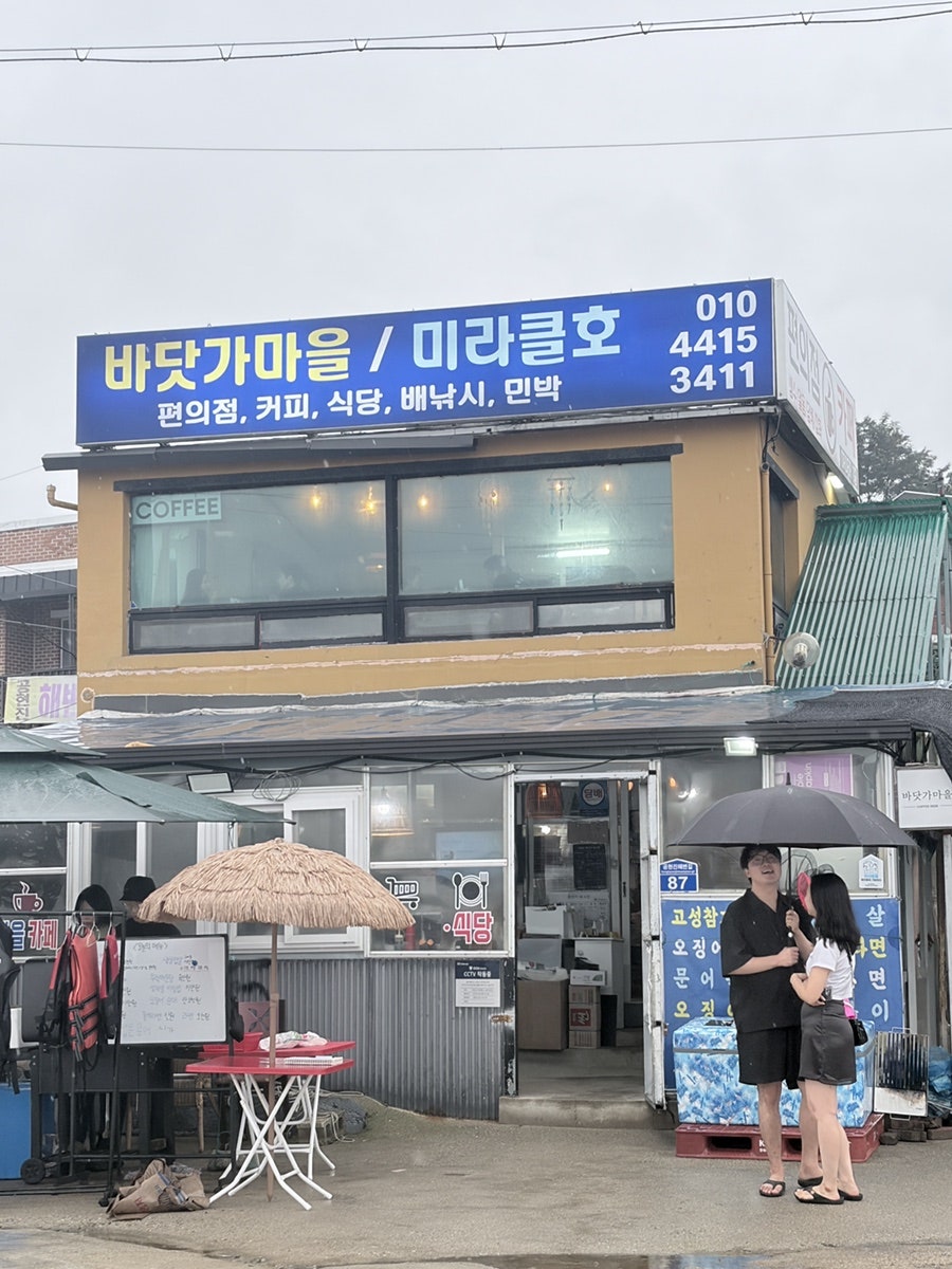 바닷가마을 오징어회