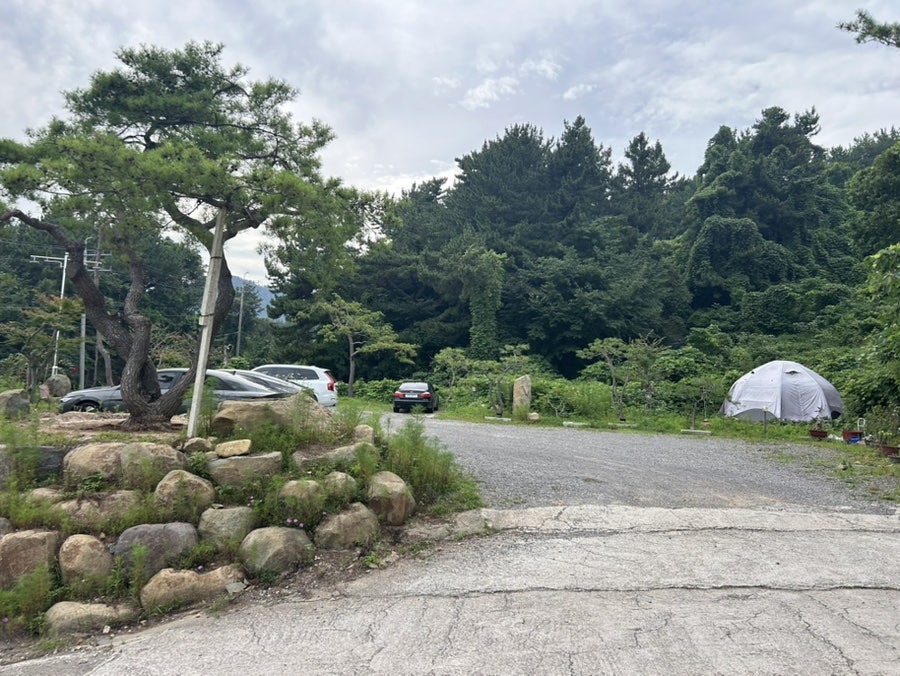 내부 창에서 바라본 자란만과 악어섬. 오션뷰를 즐기며 커피를 마실 수 있습니다