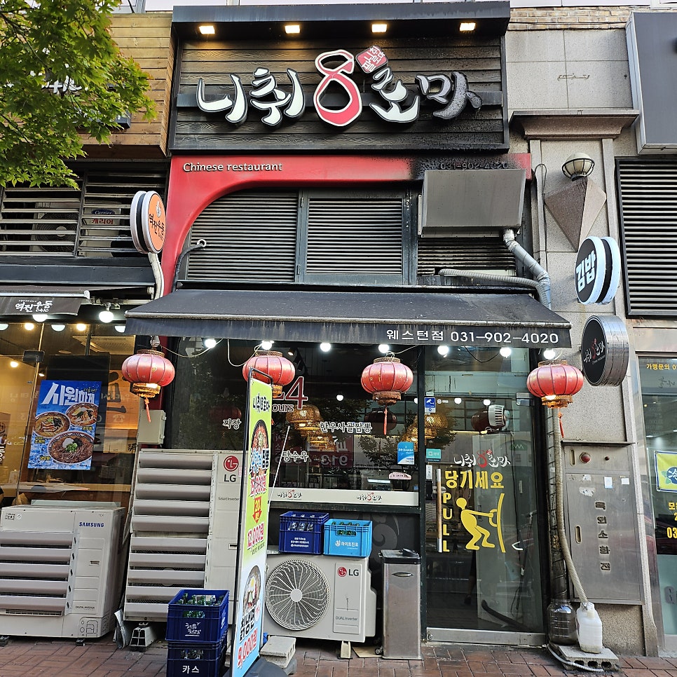 니취8로마