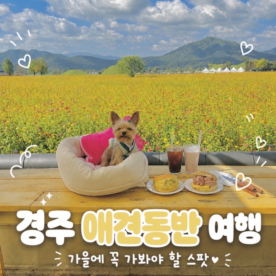 베이글베이글러에서 반려견과 함께