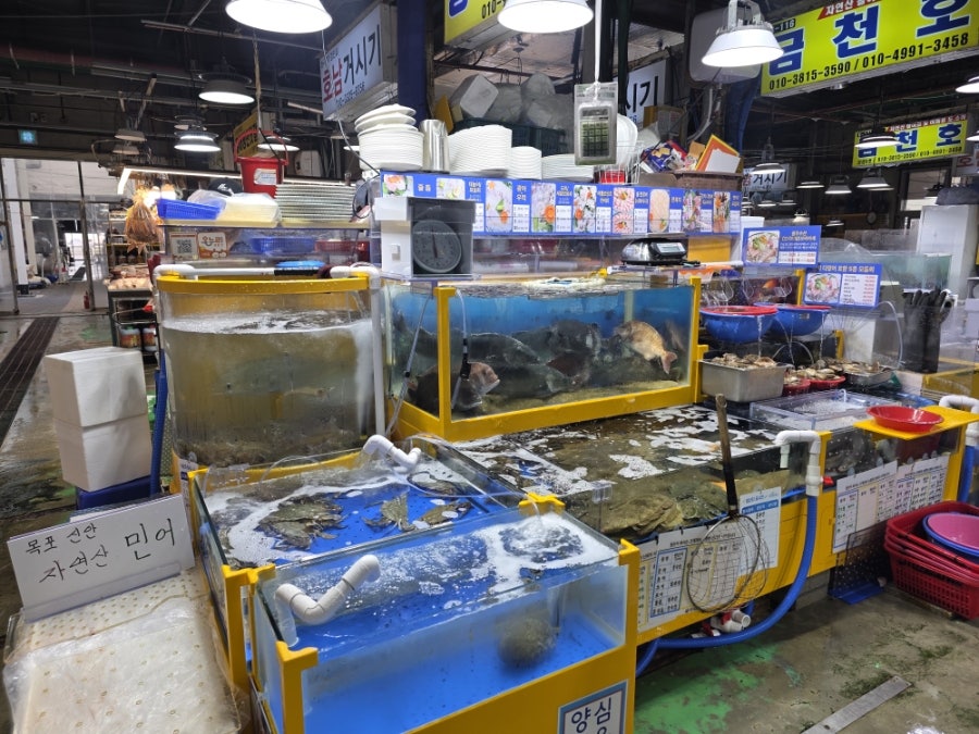광주수산 음식 준비