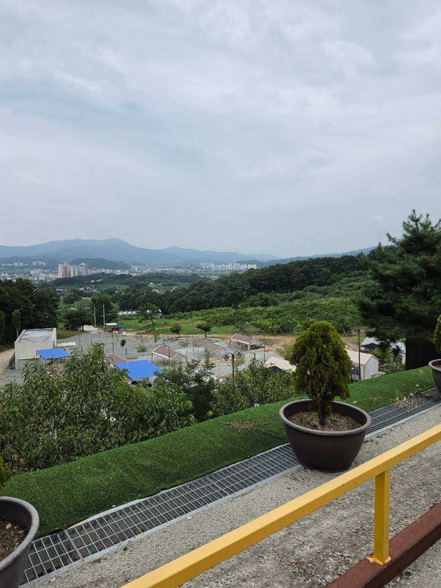 별빛마루카페 테라스에서 본 캠핑장 전경