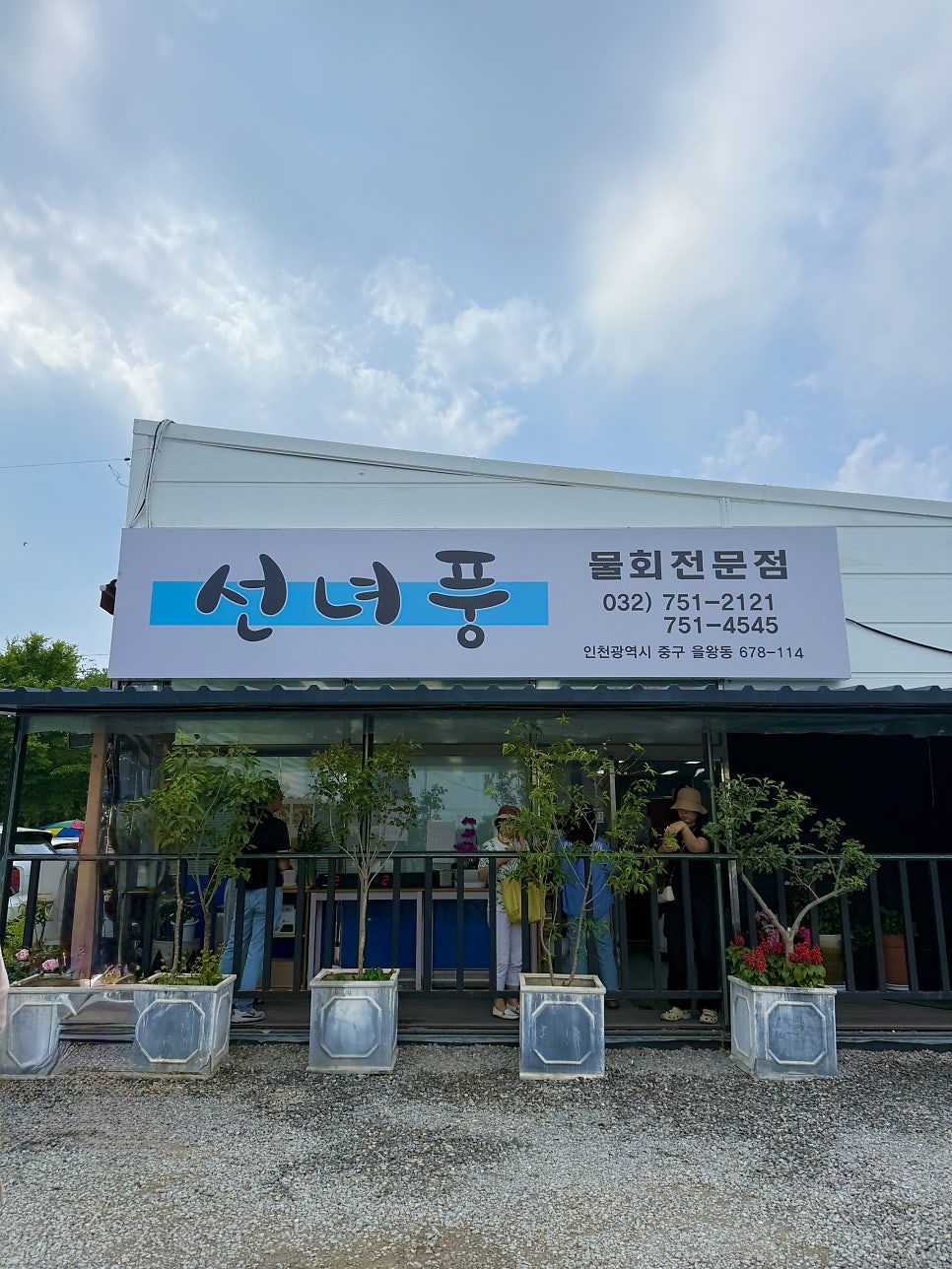 선녀풍 해변 뷰