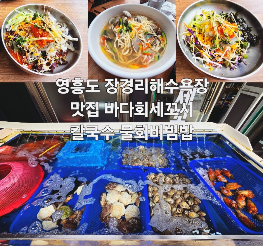 바다회세꼬시 물회