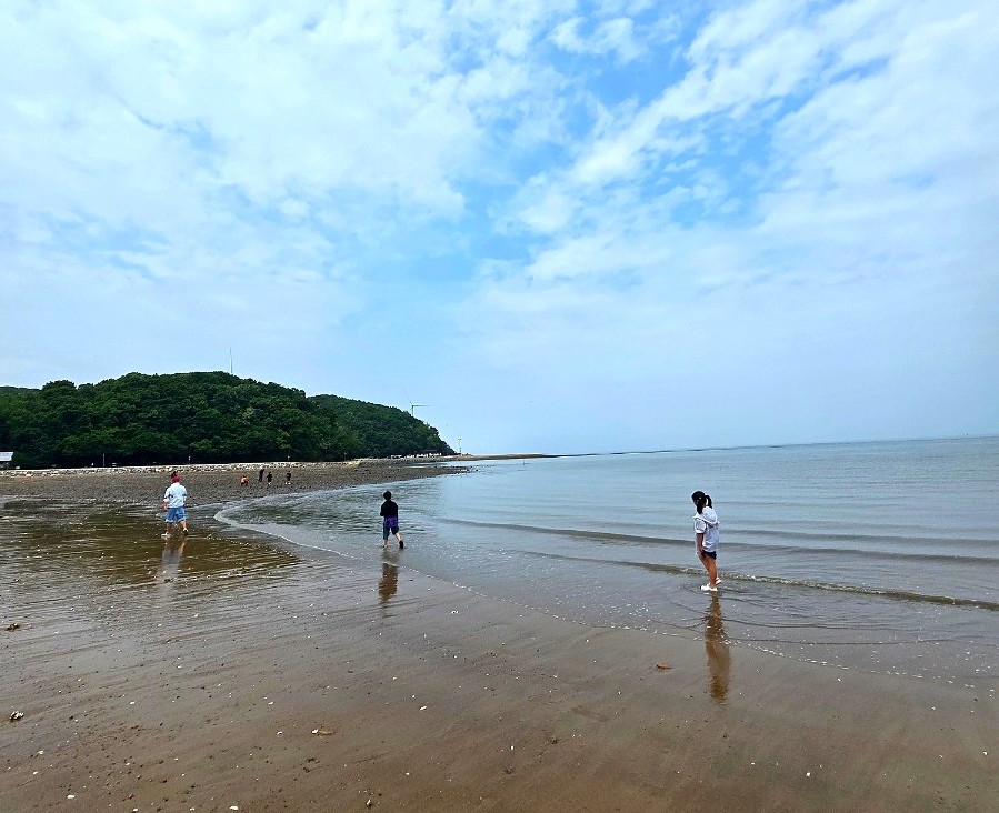 바다회세꼬시 회덮밥