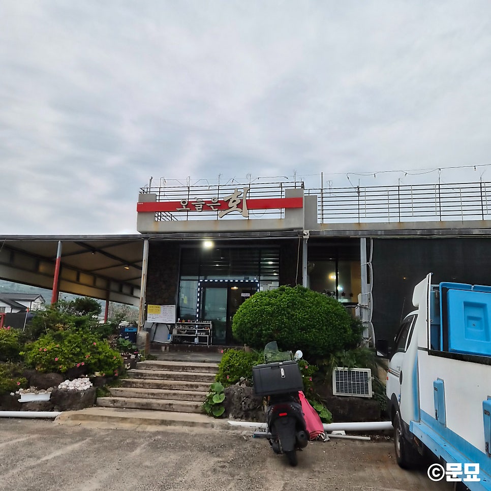 제주 대평포구 인근, 현지인이 찾는 가성비 횟집 오늘은회