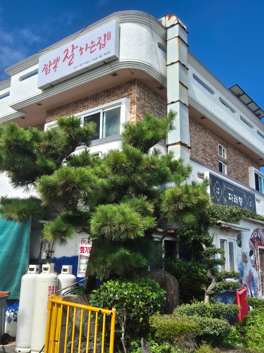 건물 외벽에 걸린 '짬뽕 잘하는집' 간판. 오랜 세월 짬뽕 하나로 신뢰를 쌓아온 집임을 보여줍니다.