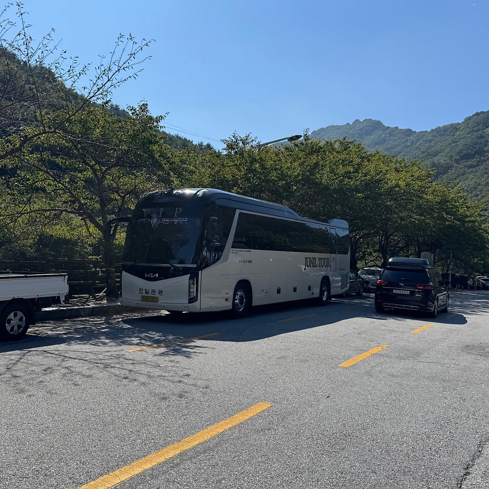 일출 산채식당의 산채 한상 모습.