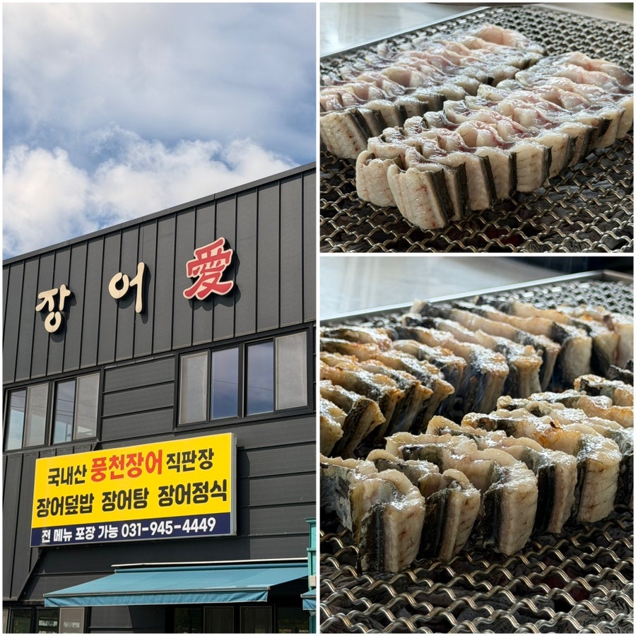 장어애 외관