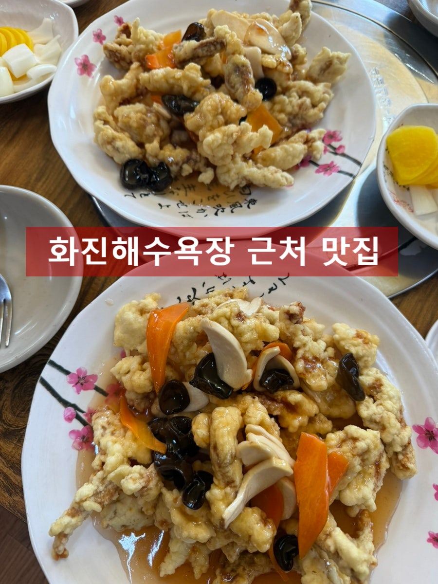 대(大) 사이즈 탕수육을 접시 2개에 나눠 담아낸 모습. 바삭한 튀김옷이 눈에 띕니다.