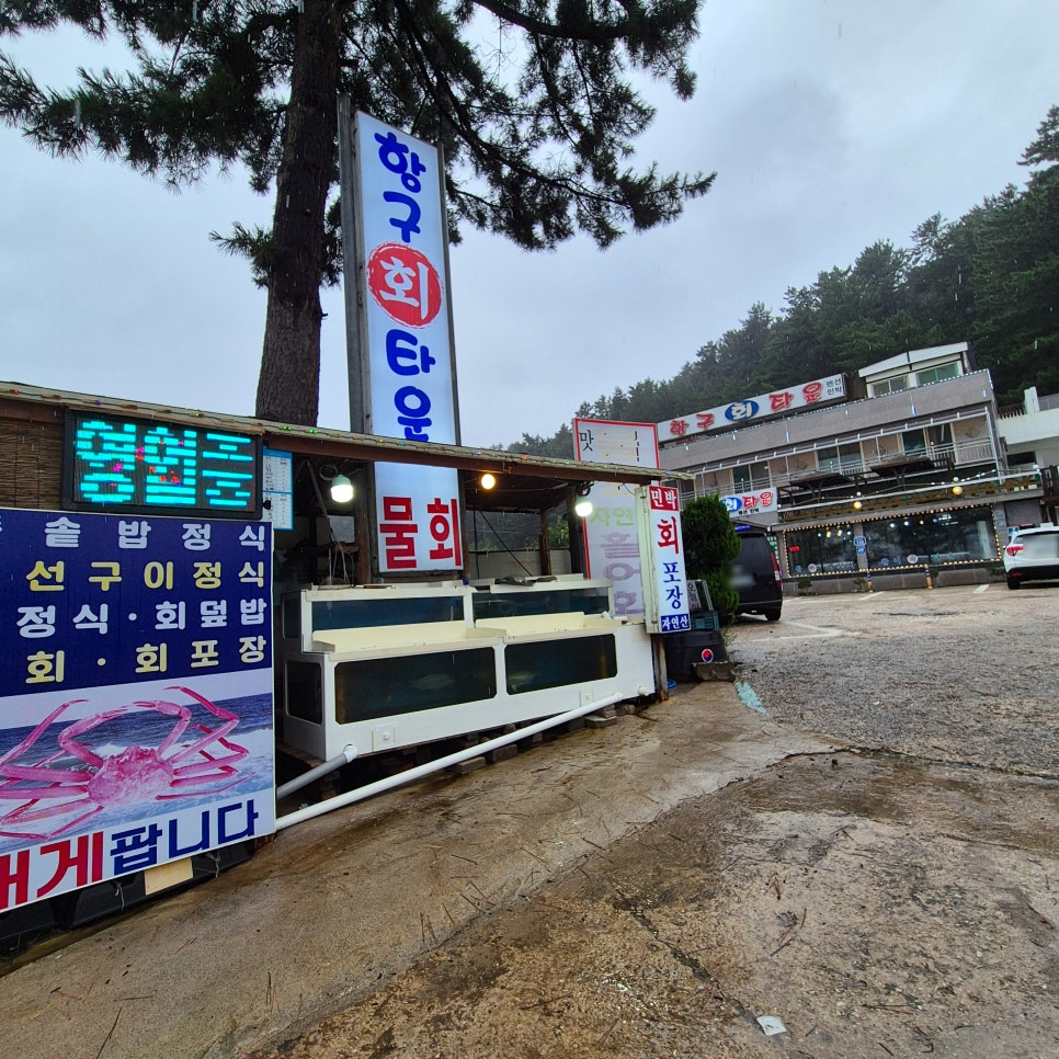 매장 앞 수족관과 간판. 물회, 자연산 활어회 포장 판매를 안내하고 있습니다.