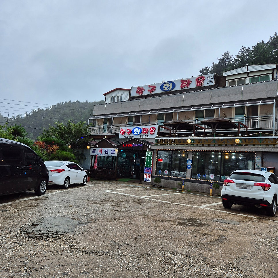 삼척 덕산해변 가성비 맛집, 항구회타운 파인밸리CC본점