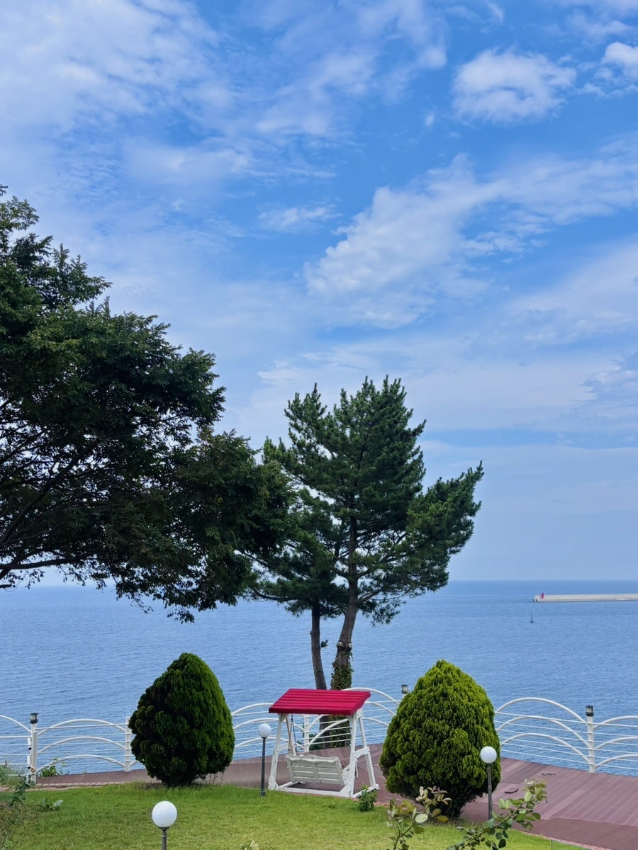 야외 정원의 그네 포토존