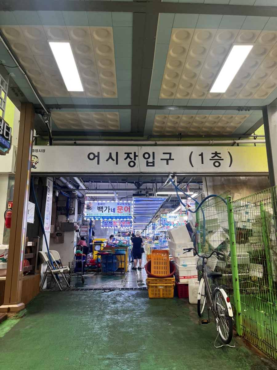 삼척중앙시장 어시장 입구. 청년몰 안쪽으로 들어가면 바다회활어를 만날 수 있습니다.