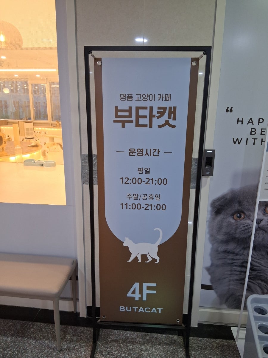 부타캣 강서점 입구 운영시간 안내