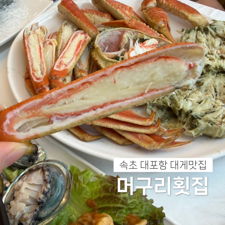 [속초] 대포항에서 갓 다녀온, 싱싱한 대게와 회