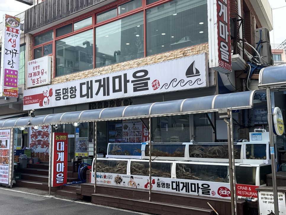 속초 동명항 가성비 대게집, 동명항대게마을