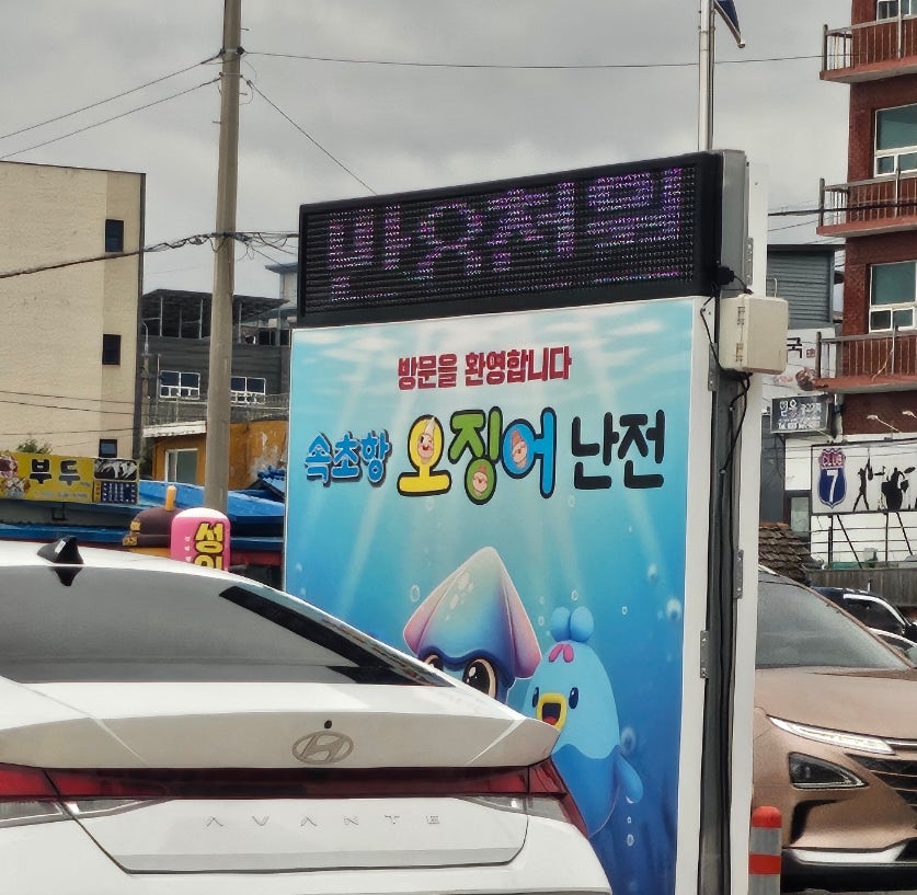 속초 동명항 오징어난전 5호 명진호
