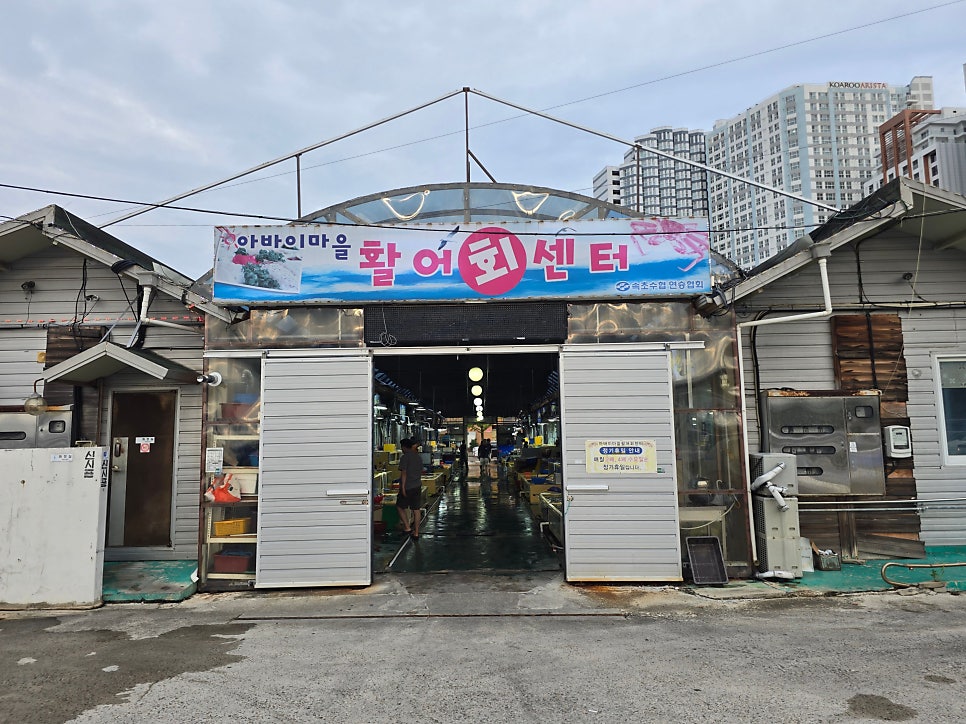 아바이 활어센터 내 용일호활어횟집의 위치. 속초 중심부에서 접근성이 뛰어납니다.