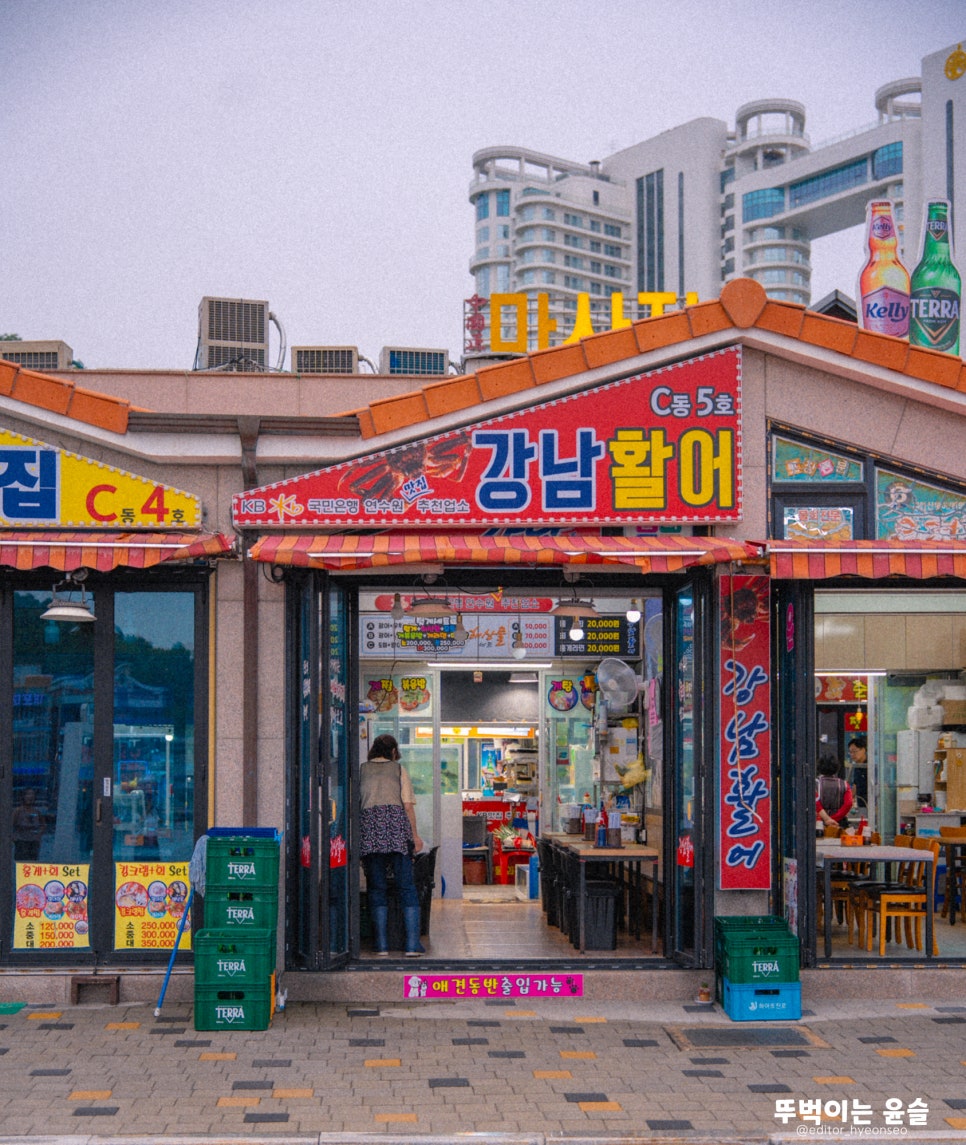 [속초 대포항] 새벽 잡은 대게를 저가로