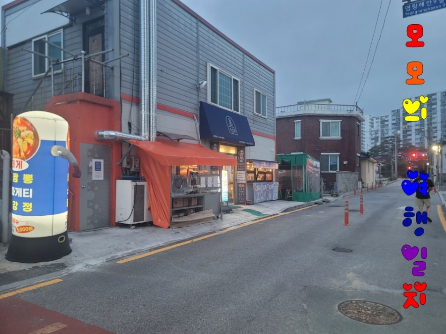 속초 저녁 맛집 🦀 속초씨(속초CCi) | 대게짬뽕 