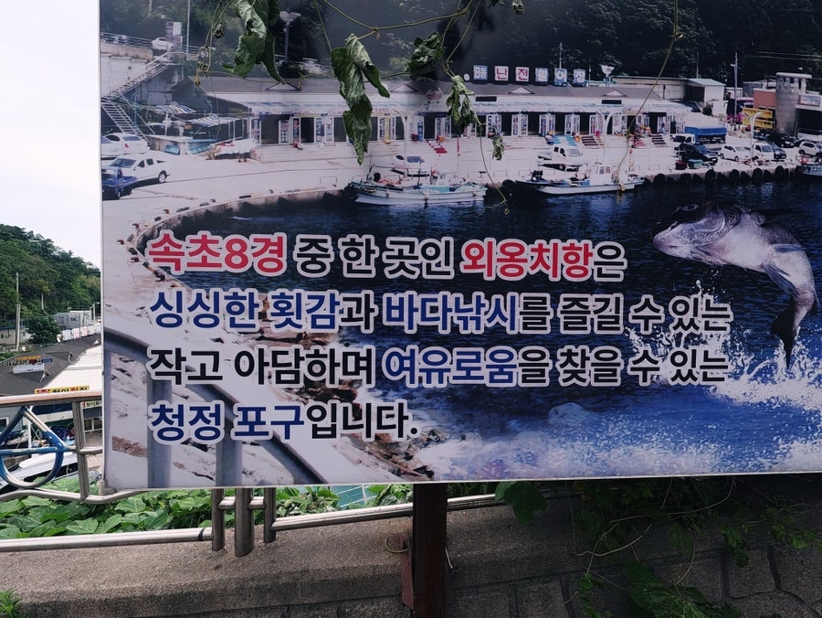 속초8경 중 하나인 외옹치항을 소개하는 안내판. 싱싱한 회감과 바다낚시를 즐길 수 있는 청정 포구로 소개됩니다.