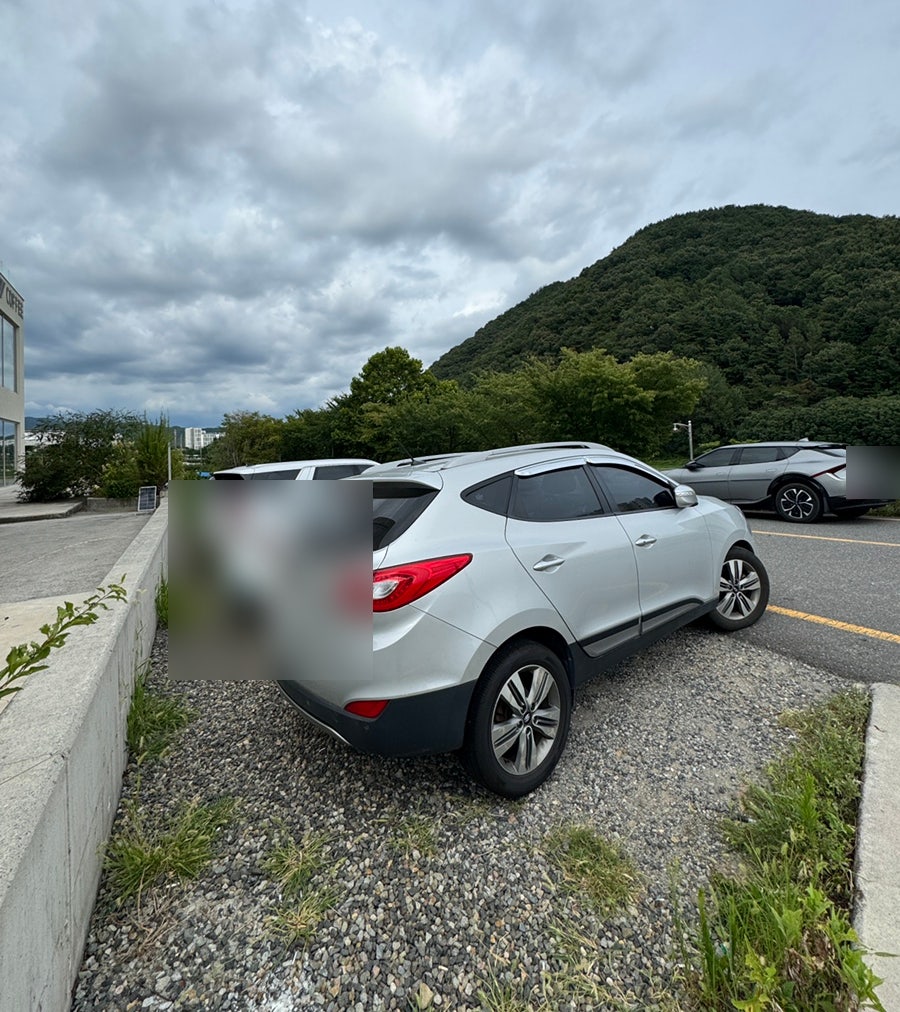 마이어 매장 앞 넉넉한 주차 공간