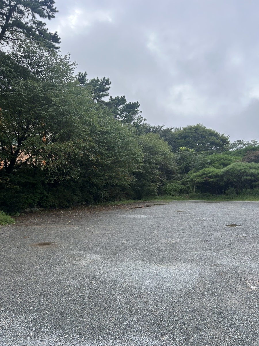 식당 주변을 둘러싼 넓은 주차장