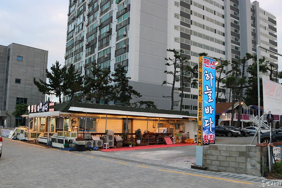진하해수욕장 앞 1박2식 가성비 회코스, 횟집하늘바다펜션