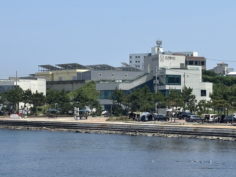오션페어리 건물, 정자항 건너편에서 본 모습