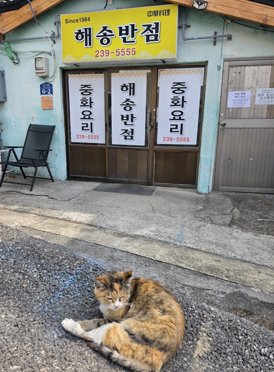 메뉴판과 주문 방식. 이곳은 주문 즉시 조리를 시작합니다.