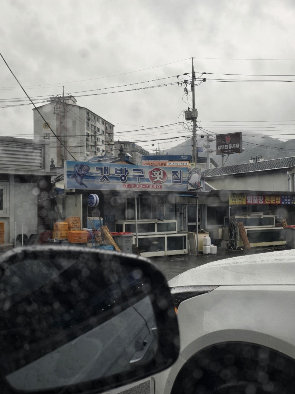 영덕시장 로컬 분위기 속 위치