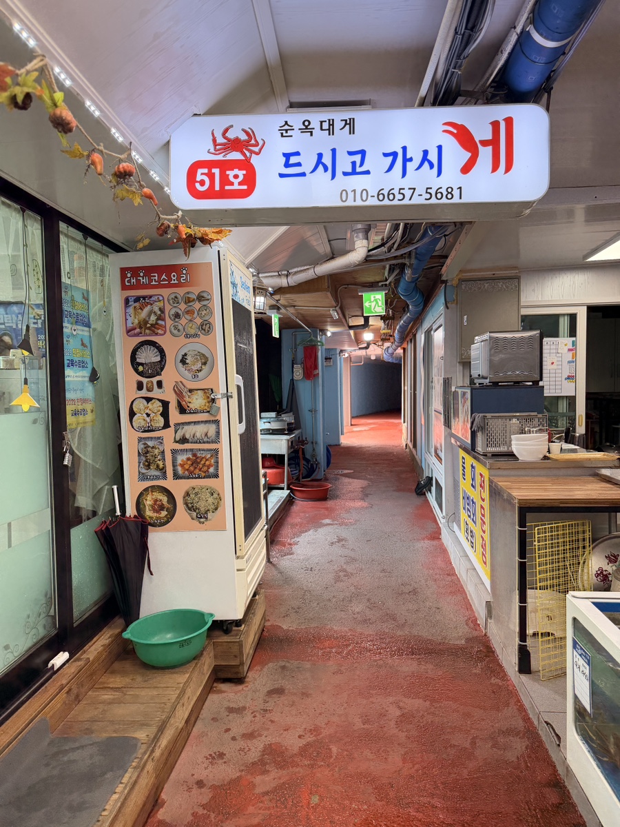 대게 코스