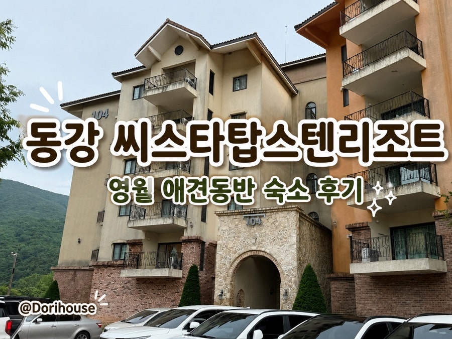 동강시스타의 규모있는 건물