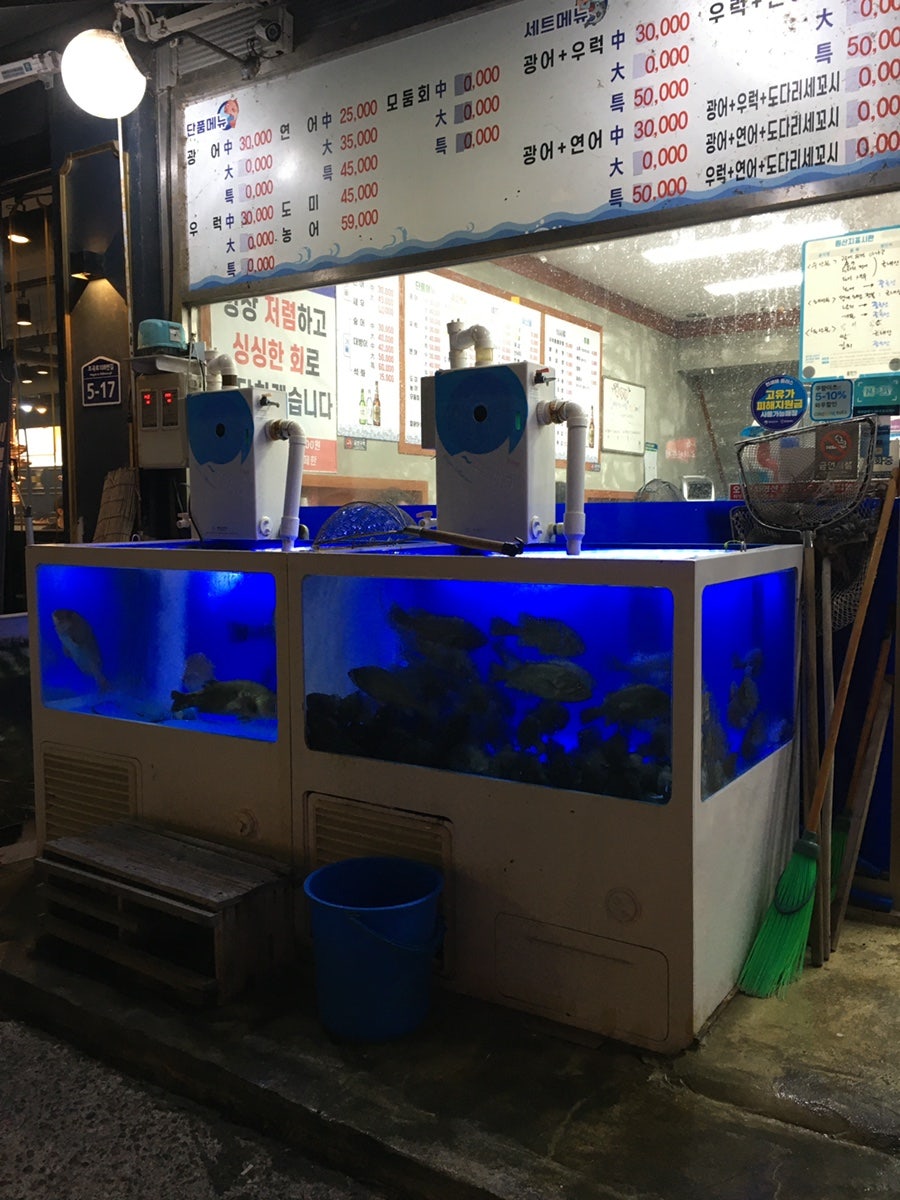 매장 앞 단품·세트 회 가격표. 광어·연어·우럭 등 생선별 가격이 중·대·특 사이즈로 나뉘어 있습니다.